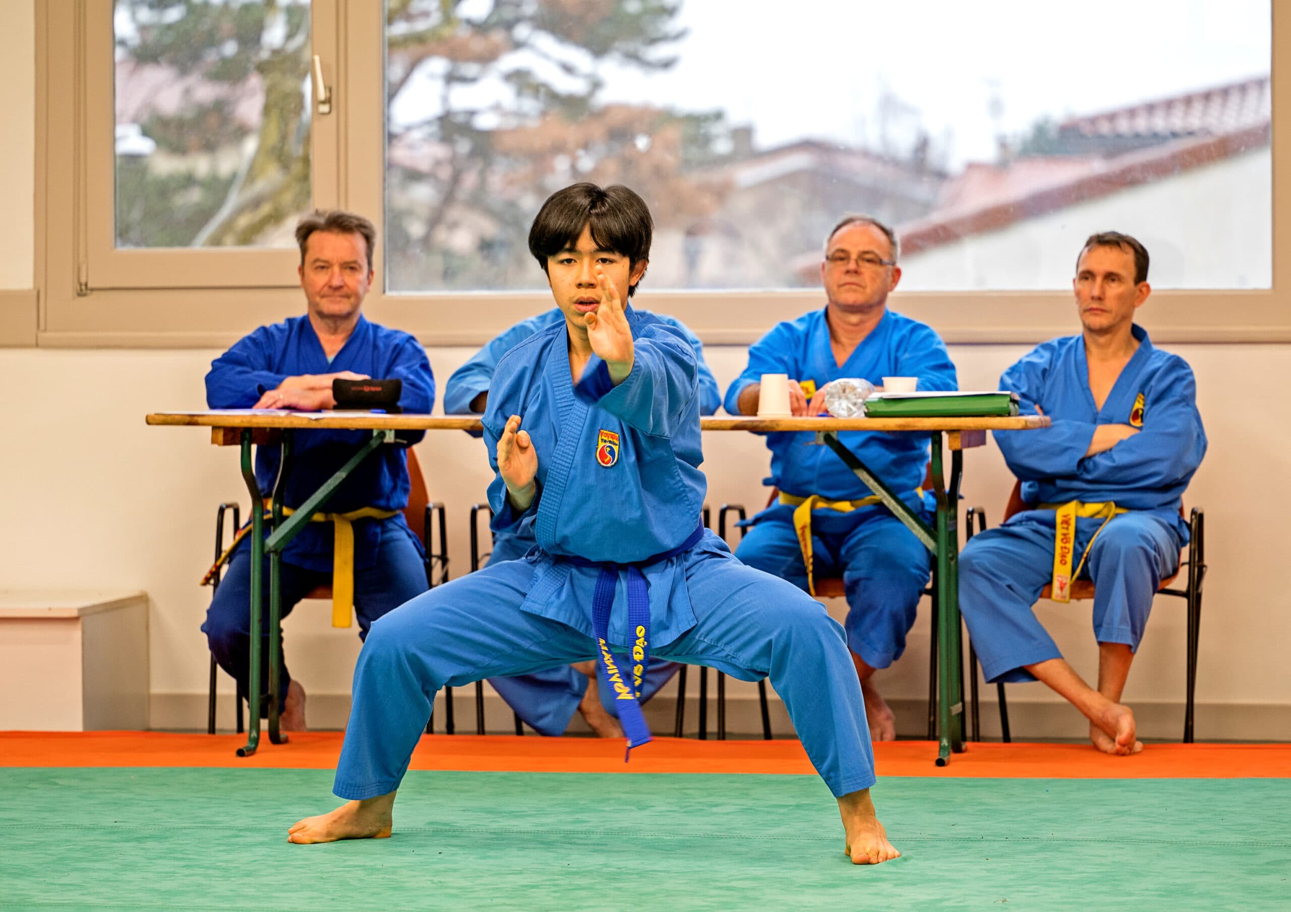 Entraînement Vovinam Lyon